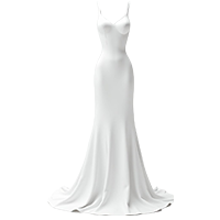 Evening Gown